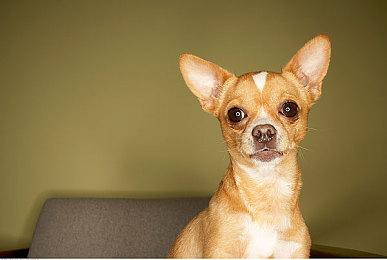 拉瑞安对下一部作品寄予厚望 将质量标准定得更高